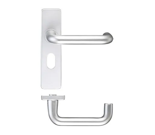 19mm Dia. Return To Door Lever on Oval Backplate S.A.A