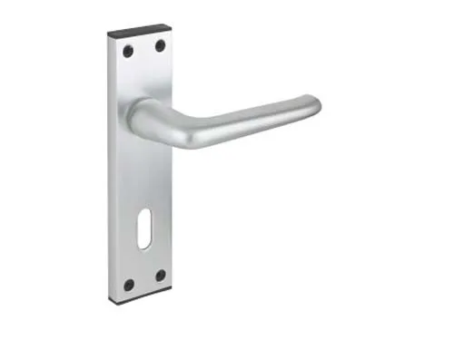 Contract Lever Door Handle On Lock Backplate S.A.A.