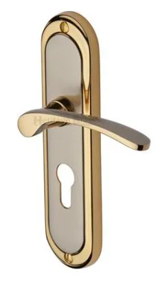 Heritage Brass Ambassador Door Handle On Euro Profile Backplate Jupiter