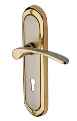 Heritage Brass Ambassador Door Handle On Lock Backplate Jupiter