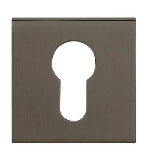 Tupai Rapido Curva/QuadraLine Euro Profile Escutcheon Titanium