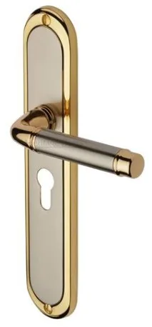 Heritage Brass Long Saturn Door Handle On Euro Profile Plate Jupiter