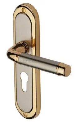 Heritage Brass Saturn Door Handle On Euro Profile Plate Jupiter